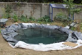 Construire une mare dans son jardin, mode d'emploi. Faire Un Bassin Artificiel Dans Son Jardin Aquaponie