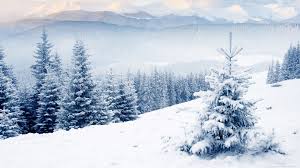 Download hd winter wallpapers best collection. Winter Wallpapers Top Free Winter Backgrounds Wallpaperaccess