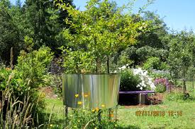 Draped over bushes, gardens or fruit trees, they keep birds away; Protecting Fruit Tree From Raccoons Adventures In Natural Beekeeping