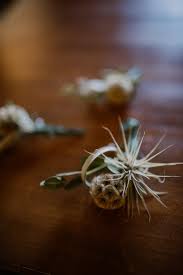 If you want to have a bright, colorful garden in the fall, here are some flowers and plants that bloom when many others are past their best. Bloomstream Flowers Gift Card Santa Fe Nm Giftly