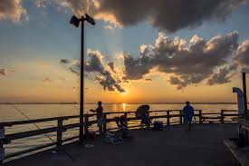 New Year, New Board Leadership!