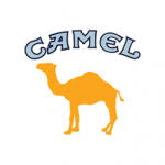 Camel non filters are extremely enjoyable, pretty slow burn time, full bodied, and surprisingly they aren't harsh to me at all. Camel Non Filter Cloveciggies Net
