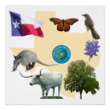 Texas State Symbols Poster Zazzle Com State Symbols Texas Symbols Texas State