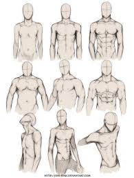 From wikimedia commons, the free media repository. How To Draw Male Anatomy Anatomy Drawing Diagram