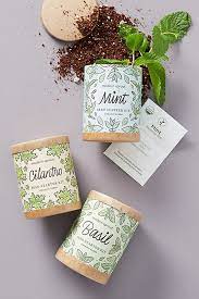 Modern Sprout Seed Starter Kit Affiliatelink Ad Affiliate Seed Starter Kit Seed Starter Seeds