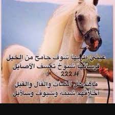 شعر عن الخيل اجمل ما قيل فى وصف الخيل كارز
