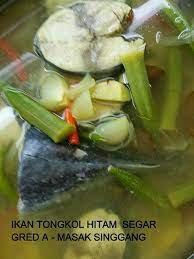 Anda sukakan masakan berkuah singgang? Resepi Ikan Aya Masak Singgang Resepimee Junotee Com