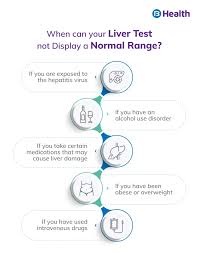 Image result for Liver Function Test