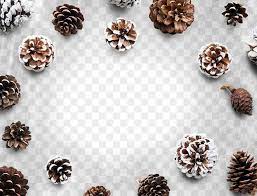 Pine Cone Png Border Frame Design Premium Image By Rawpixel Com Maewh Frame Design Png Background Design