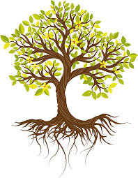 Lebensbaum taufe vorlage luxus illustration der natürlichen baum auf. Taufkerze Selbst Gestalten Mit Unserem Online Konfigurator