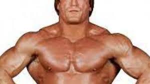 Equipped with one of the deadliest piledrivers in the industry, paul orndorff is a talent that. Paul Orndorff Net Worth Salary Bio Height Weight Age Wiki Zodiac Sign Birthday Fact