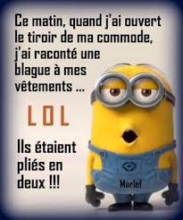 Accueil Blague Minion Humour Blague Minion