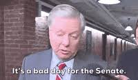 Lindsey graham gif thread (6) #lindseygraham #ladyg pic.twitter.com/lpqvx2jtbf. Lindsey Graham Gifs Get The Best Gif On Giphy
