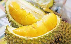 Sầu riêng là loại trái cây sở hữu hương vị ngọt ngào, bùi béo lạ miệng kết hợp với mùi hương đặc trưng. Chá»n Sáº§u Rieng Ä'á»«ng Dá»±a Vao Kich Cá»¡ Chá»n Theo Quáº£ Ä'á»±c Cai Má»›i Chuáº©n