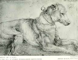 Lightly squared in black chalk, 31.9 x 24.1 cm (12 1/2 x 9 1/2 in.), albertina, vienna Research Leonardo Da Vinci Albrecht Durer Alison Macpherson Drawing Skills 1