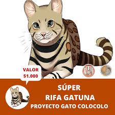 He was a major figure in alonso de ercilla y zúñiga's epic poem la araucana, about the early arauco war. Juan De Los Zorros On Twitter Mis Amig S De La Fundacion Coordinacion De Felinos Silvestres Chile Necesitan Juntar Fondos Para Sus Proyectos Gatunos Favor Apoya Esta Iniciativa Una Rifa Para Poder Solventar