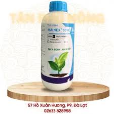Mainex 50SC