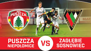 Zagłębie sosnowiec & radomiak radom & olimpia elbląg & legia warszawa vs. Puszcza Zaglebie Sosnowiec Kalendarz Niepolomice