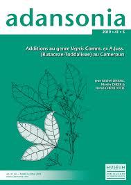 Image result for Vepris renieri