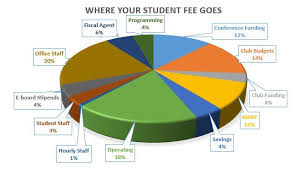 Budget at a glance presents broad aggregates of the budget for easy understanding. 2019 2020 Budget Pie Chart Graduate Student Association