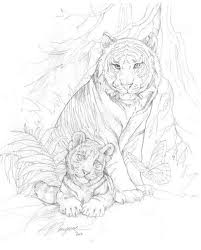These are for personal use only. Image Result For Free Jody Bergsma Coloring Pages Malvorlagen Tiere Tierzeichnung Bunte Zeichnungen