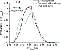 The present perfect of any verb is composed of two elements : Spatial Distribution And Ribosome Binding Dynamics Of Ef P In Live Escherichia Coli Mbio
