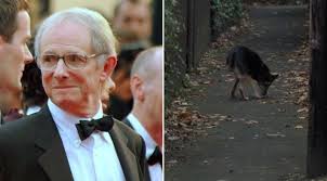 Yonetmen Ken Loach Un Filmlerindeki 3 Bacakli Kopek Gelenegi Eksi Seyler