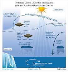 Executive Summary Scientific Assessment Of Ozone Depletion 2018
