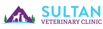 But after so many beautiful stories with so many families all over the. Vet Near Me 98294 Sultan Veterinary Clinic Sultan Wa