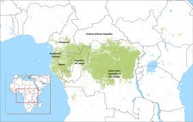 Tropical rainforests are found near the equator, and these hot and humid biomes are collectively home to over 15 million types of plants and animals: Stories Carpe