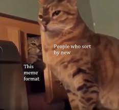 Sneaky Cat Meme New Meme Of 2019 Worthy Of Investments Memeeconomy