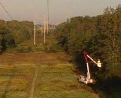 Emergency same day service available. Working At Wright Tree Service Glassdoor