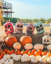 Image result for quirky halloween