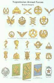 Maybe you would like to learn more about one of these? 27 Best Military Ranks And Insignia Ideas Military Ranks Insignia Military