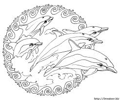 Les loups ne sont pas toujours mechants contrairement a ce que nous raconte lhistoire du petit chaperon rouge. ActualizaÈ›i Subordonat Vizita Mandala A Imprimer Animaux Apitotal Ro