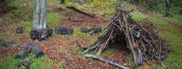 The global movement for #tribalpeoples. Top 10 Outdoor Survival Tips