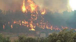 Manavgat'da orman yangını antalya'nın manavgat ilçesinde sabaha karşı orman yangını çıktı. 4 M54lz8zmkjhm