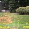Your interest in scotts disease ex fungicide for lawns is appreciated. 1
