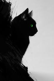 Pin On Mobile Iphone Cat Wallpapers