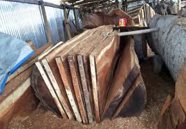 Why We Don T Sell Suar Wood