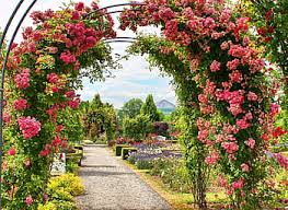 Maybe you would like to learn more about one of these? Page 6 Royalty Free Gate Photos Free Download Pxfuel
