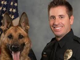 Sean Houle's Instagram, Twitter & Facebook