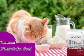 Diamond Naturals Cat Food Review 2021 Indoor Cat Food Formula