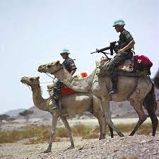 The camel horse will sustain them in a sparkling state of amazing health. Camels At War Defense Media Network