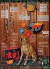 Dog Hiking Gear Overview Of Hiking Dog Boots Packs And Clothes Kopek Kamp
