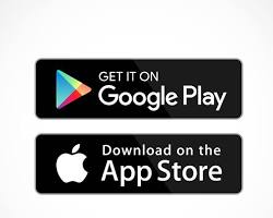 Google Play Store app icon