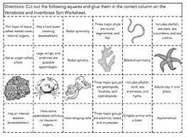 This article is the second in a series of lessons devoted to teaching vertebrates in the elementary classroom. Invertebrate Animal Sort Invertebrates Sorting Vertebrates And Invertebrates
