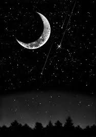 Raindrops And Roses Moonlight Photography Moon Photography Beautiful Moon