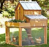 110 ideas de Granja | gallineros, gallinas de traspatio ...