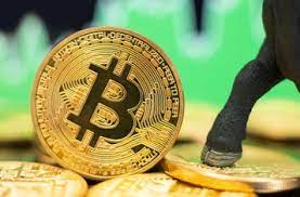 0 01 bitcoin to naira how much bitcoins mined. Btc To Naira Naira To Btc Btc Price Calculator Blockchain News